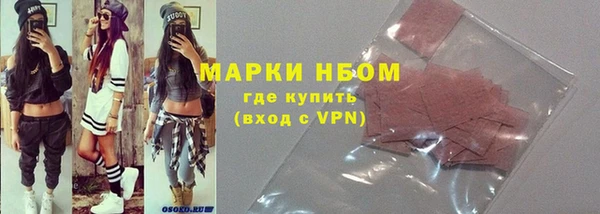 шишки Михайловск