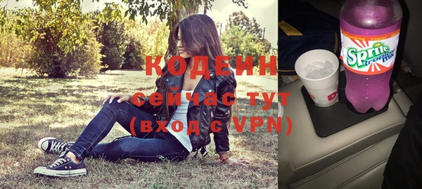 шишки Михайловск