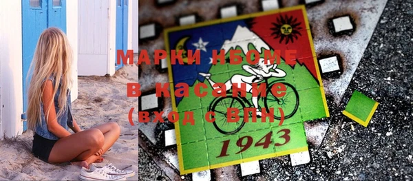 шишки Михайловск
