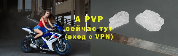 шишки Михайловск