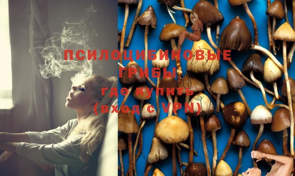 шишки Михайловск
