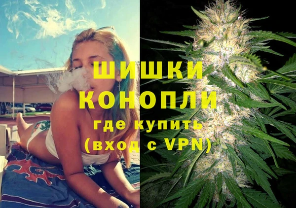 шишки Михайловск
