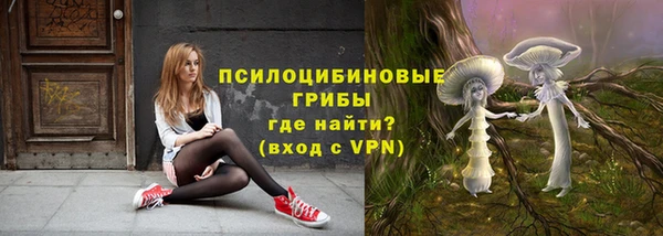 мескалин Михайлов