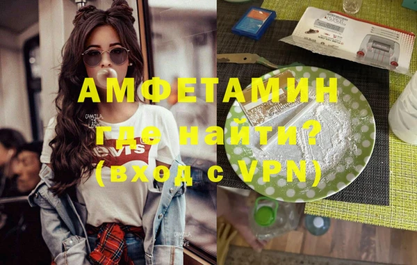 шишки Михайловск