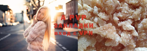 шишки Михайловск