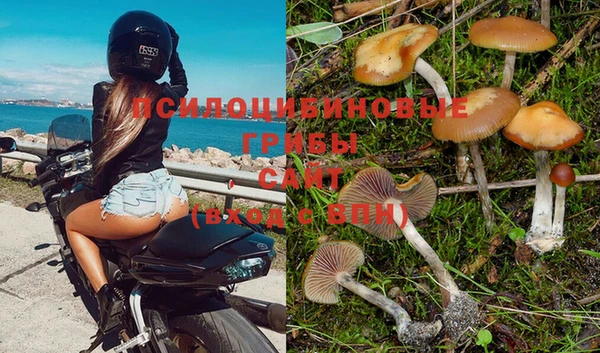 мескалин Михайлов